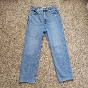 Everlane The Way High Jean Jeans Blue Denim High Rise Raw Hem Size 28 Regular